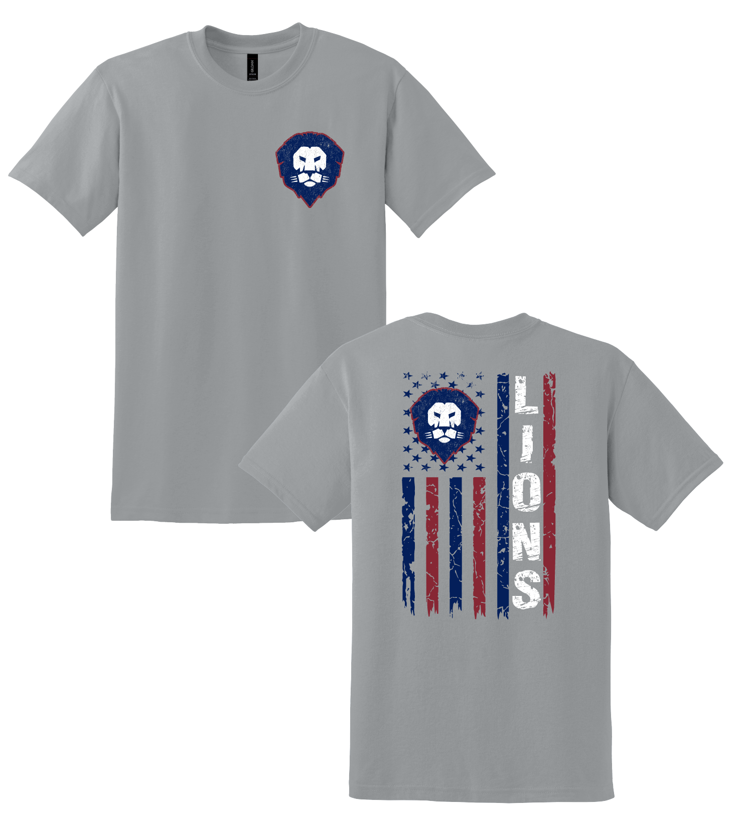 Palmetto Christian- Flag